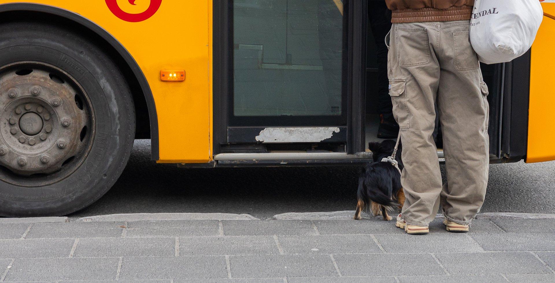 Opnun I Götumyndir